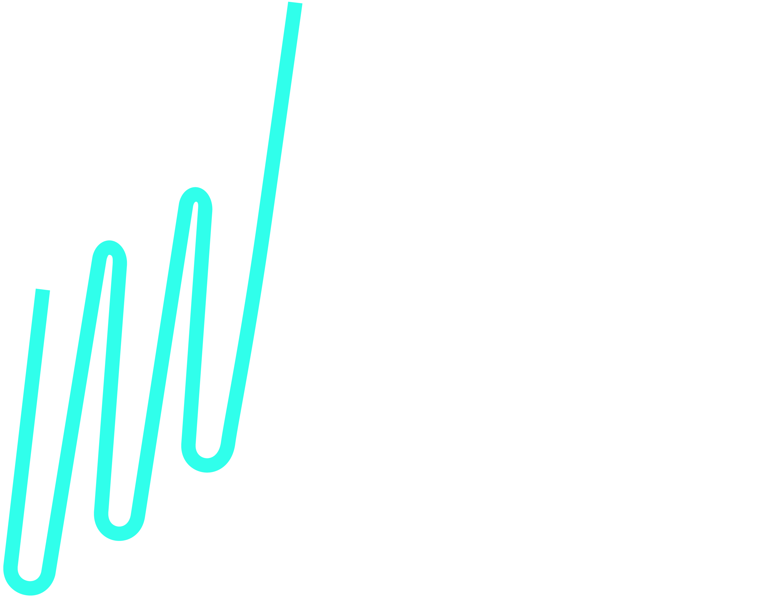 The Digital Speaker