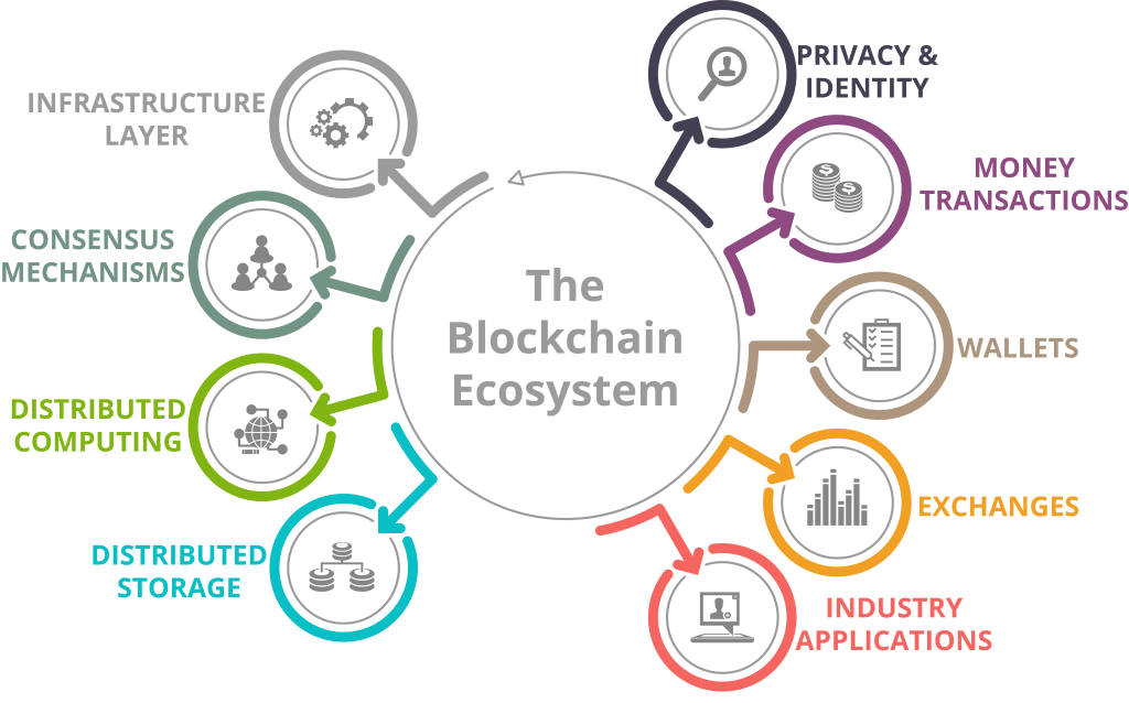 The Ecosystem