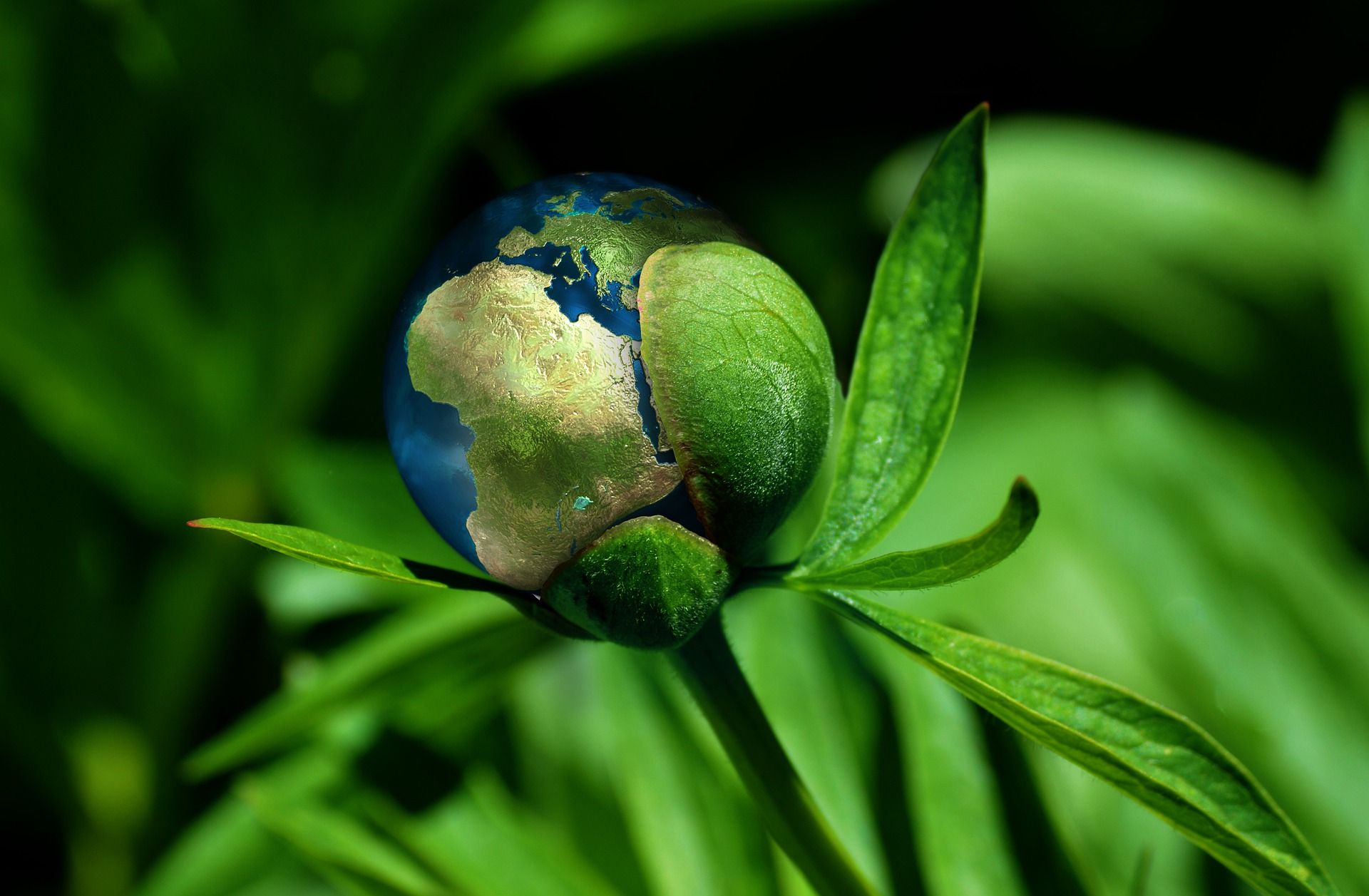 The f(x) = e^x | Responsible startups and the great image showdown