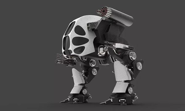 Why We Should Ban Lethal Autonomous Weapons