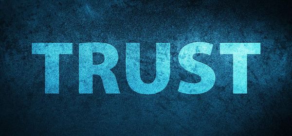 How to Ensure Trust in a Digital World