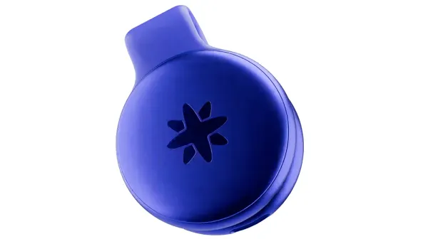 The End of Privacy: How AI's Ubiquitous Ears Could Shatter Workplace Trust