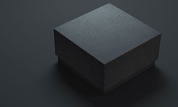 Algorithms are Black Boxes